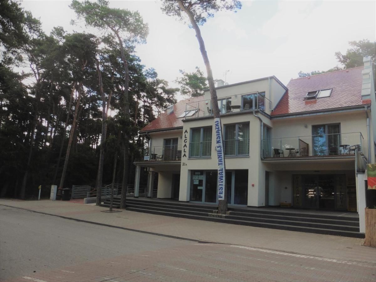 Alcala Homestay